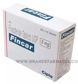 Buying_Fincar_online