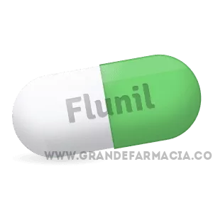 Buying_Flunil_online
